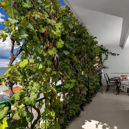 Antonela Apartman *